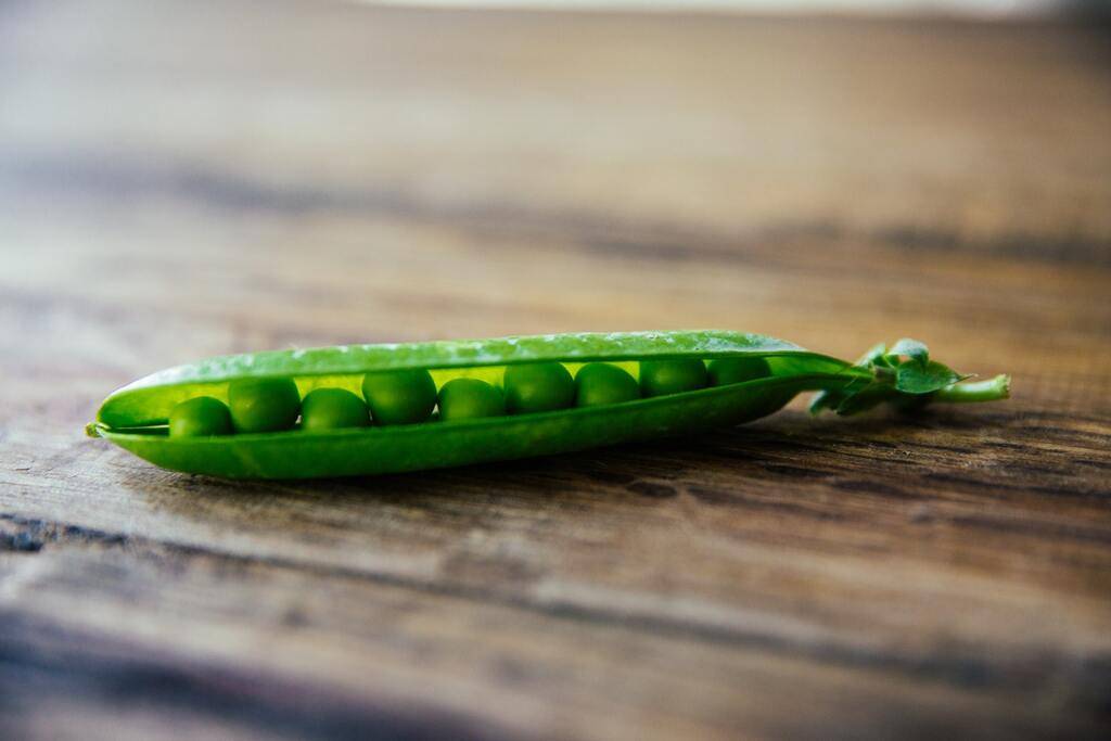 Grow your own vegetables